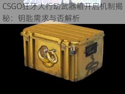 CSGO狂牙大行动武器箱开启机制揭秘：钥匙需求与否解析